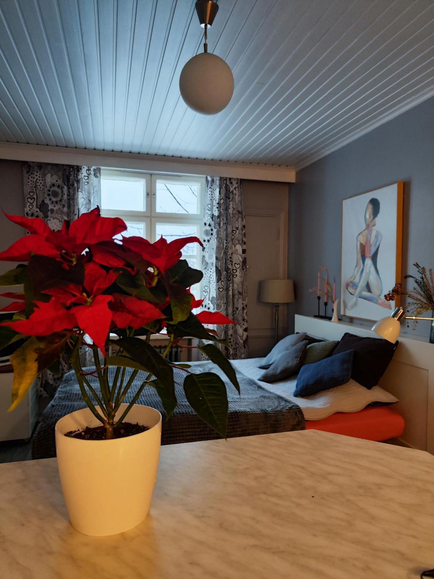 Studio In Kallio เฮลซิงกิ ภายนอก รูปภาพ